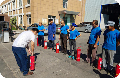 INNER MONGOLIA DINGNONG AGRICULTURAL TECHNOLOGY CO.,LTD. 製造者の生産ライン
