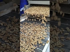 ウォールナッツ の 魔法 - 自然 の 治療 と 健康 に おける ウォールナッツ