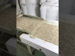 卸売 格安 品格 中国 紫陽花の種子 ベストセラー アマゾン