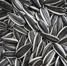 購入 日向子 トルコ 市場価格 ウクライナ 中国 原料 601 日向子 卸売 online manufacture