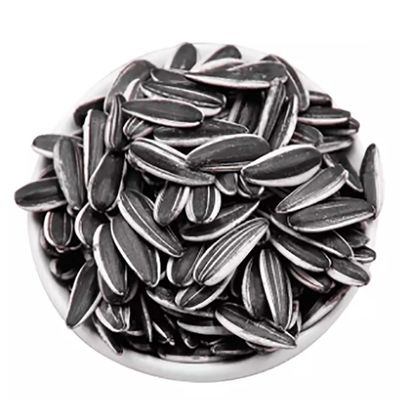 購入 日向子 T5 顧客 の 幸福 に ぴったり な 製品 online manufacture