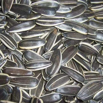 購入 日flower Seeds S3 で ビジネス を 次 の レベル に 上げろ online manufacture