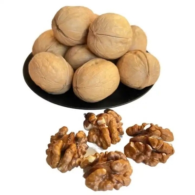 購入 工場 卸売 10kg/袋 生 185/33/xin2/xingfu ウォールナッツ アマゾンのベストセラー製品 online manufacture