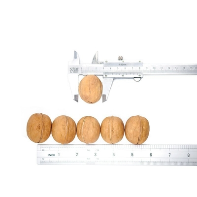 購入 アマゾン 熱売り 高品質 最高価格 卸売工場 新疆 薄皮 185 ナッツ 32mm+ online manufacture