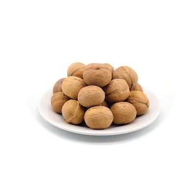工場卸売 ホットセール 185/33/xin2/xingfu 殻付き ナッツ 低価格で ホットセール 農産物