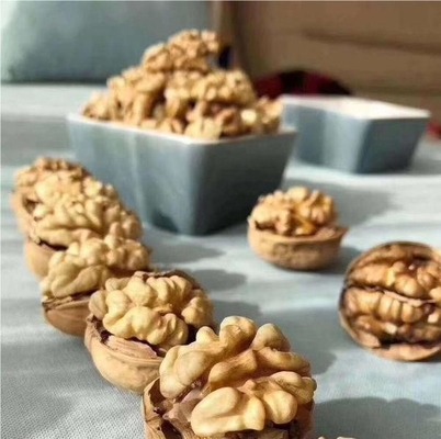 Walnut Kernel Xin 2 を大量に販売する製品ラインをアップグレードする