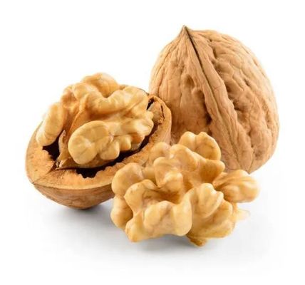 100%天然の薄い皮膚Xin2ウオールナッツ 最高価格 シェルの卸売工場 熱売り農産物