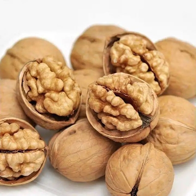 Walnut Kernel Xin 2 で製品ラインをアップグレードする