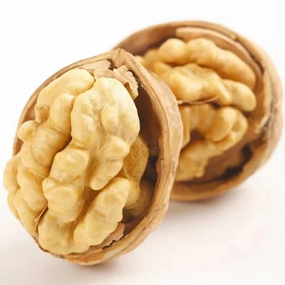 工場 1kg ウォールナッツ 価格 ウォールナッツ ハーブ 卸売 中国 トップ 薄 生?? 珀 25kg/袋 梱包 生 乾燥 ウォールナッツ 核 乾燥 果物
