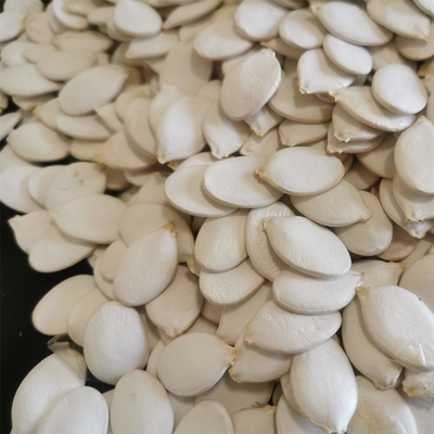 客 に 贈る 甘い ピンク 色の 白い 雪 の 玉ねぎ の 種