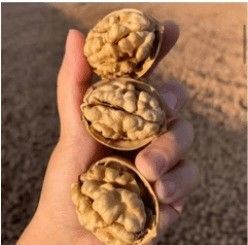 名前